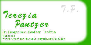 terezia pantzer business card